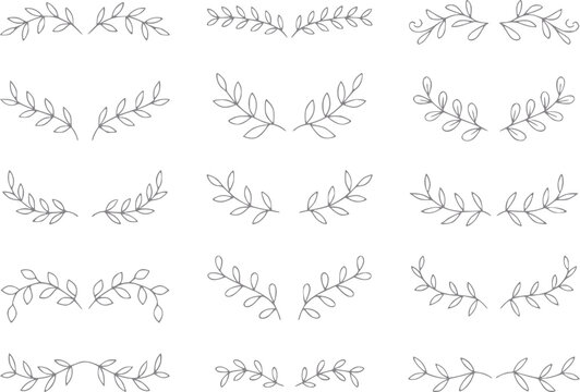 Colecci&oacute;n de divisores de corona de laurel floral dibujados a mano y rama frondosa decorativa para
