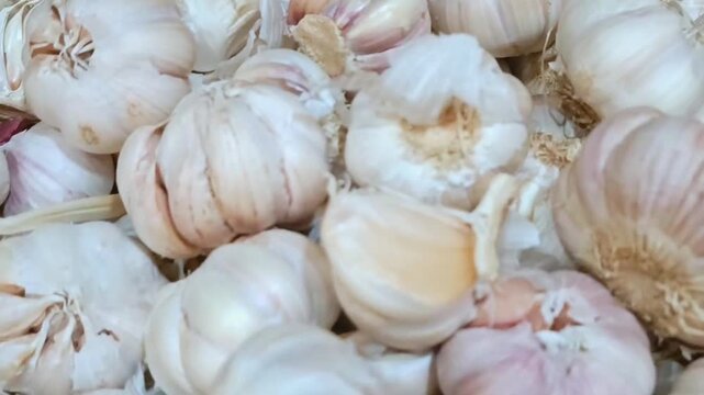 Close-up shot of fresh raw garlic bulbs and cloves, a pungent white organic vegetable ingredient for healthy culinary recipes.