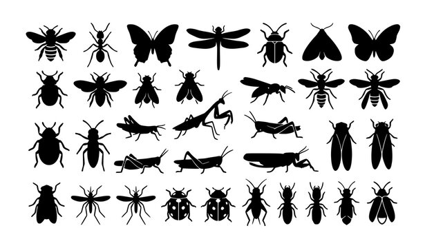 bug, insect, silhouette, vector, butterfly, bee, ant, dragonfly, beetle, moth, fly, wasp, mantis, grasshopper, mosquito, ladybug, cicada, termite, cricket, firefly, wildlife, nature, collection, edita