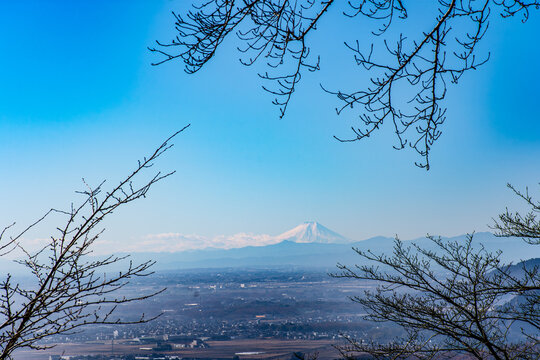 枝の間から望む冬の富士山と眼下の風景