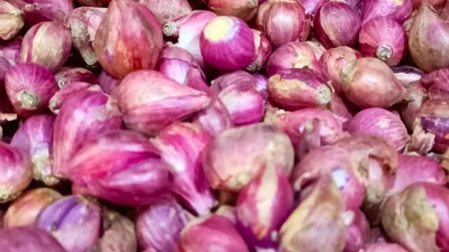 Fresh pile of red shallots and purple onions organic vegetable ingredients at food market.