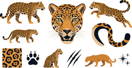 Leopard and jaguar vector design bundle featuring spotted wild cat poses, realistic head portrait and animal footprint icon. © axios