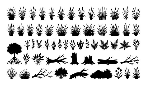 Swamp grass reed coastal thicket and wetland plant silhouette vector set