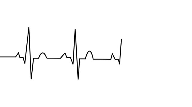 ECG line animation video on white background. Heartbeat electrocardiogram. ECG heartbeat monitor, ECG monitor, heart beating and pumping, healthcare medical animation.
