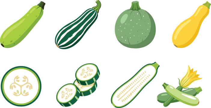 Fresh Zucchini and Summer Squash Collection with Whole Sliced and Flower Variations