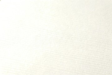 Fototapeta premium Close-up of Soft White Paper Texture