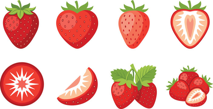 Fresh Strawberry Fruit Illustration Collection with Whole Halved Sliced and Cluster Variations