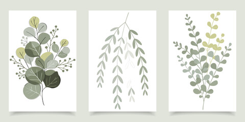 Minimalist watercolor eucalyptus and willow leaves wall art prints set of 3 with sage green botanical branches for boho home decor. © Shofikul islam