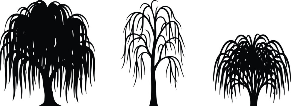 Weeping Willow Tree Collection Black Vector Set Isolated on White Background