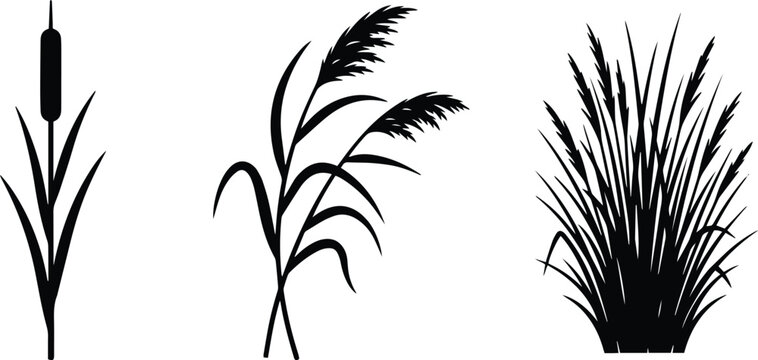 Black cattail reed and ornamental grass icon set isolated on white background