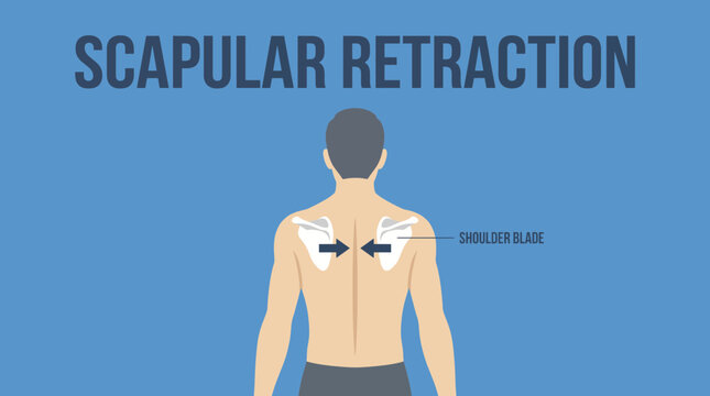 Scapular Retraction Exercise Posture Shoulder Blade