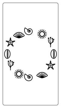 Summer sea shells marine icons rotating circle animation starfish coral ocean elements