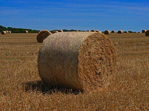 Straw bales in a mown field