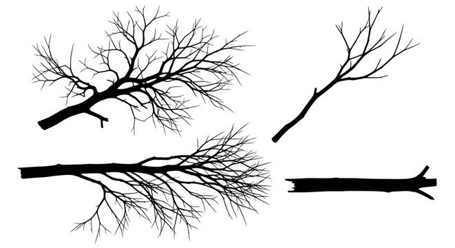 Set of dry tree branch silhouettes with detailed twigs and bare limbs isolated on a white background