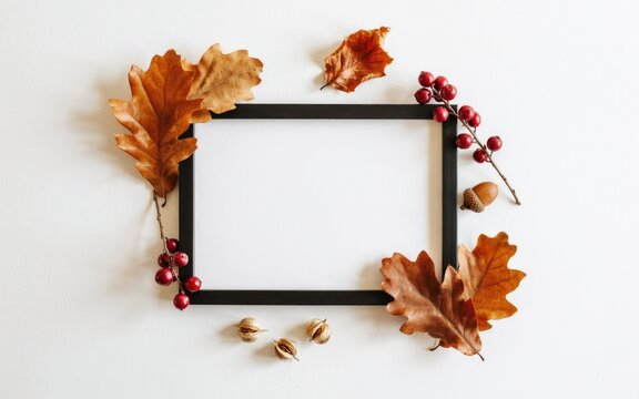 Empty picture frame decorated with autumn leaves and berries for a festive thanksgiving day holiday background