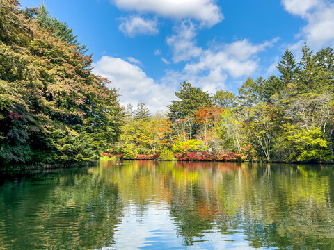鮮やかな紅葉に包まれる初秋の軽井沢・雲場池と青空の風景