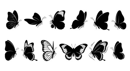 Black butterfly silhouette collection, set of 12 flying insect icons, decorative butterfly wing shapes for nature design and tattoo art © imran