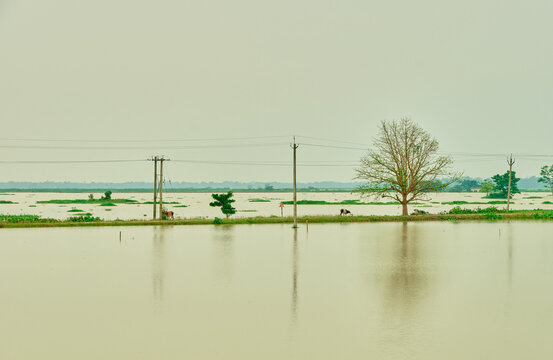 Floods in Assam, India