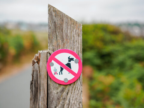 no dog poo sign attached to wooden ost on path