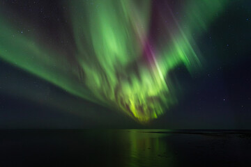 Bight and intense Northern Lights Aurora Borealis in the dark night sky above Iceland and the Atlantic Ocean © Richard Waghorn