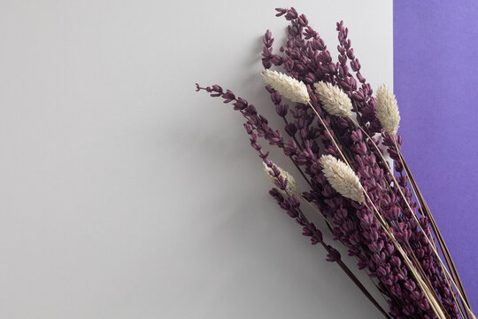 Dried lavender and white phalaris sprigs creating a minimalist floral decor