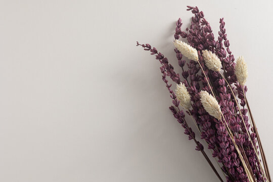 Dried lavender and phalaris bouquet for minimalist decor with copy space