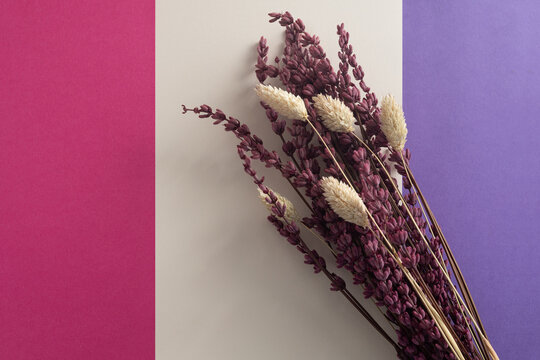 Dried lavender and phleum bouquet with contrasting pink, beige, and purple background