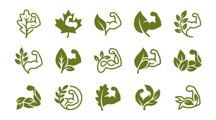 Fototapeta premium Green Leaf and Muscle Icon Set.