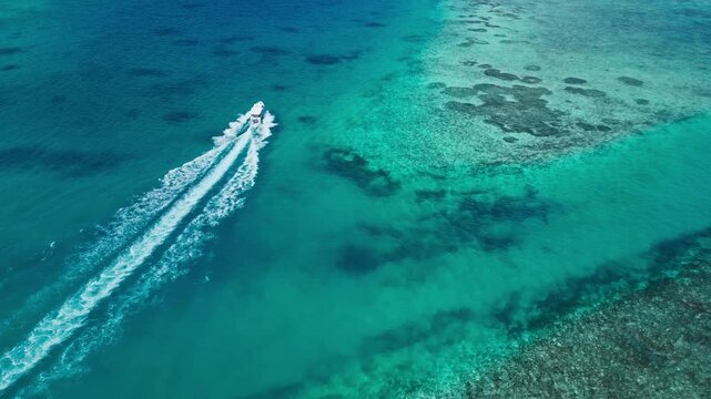 A boat gracefully moves across a breathtaking tropical reef, bathed in sunny, relaxed light. This aerial view showcases the vibrant blue and green hues of the water and coral, making it.