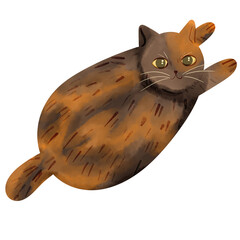 illustration of chubby cat © Mommidhi