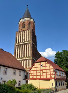 Stadtkirche Calau in Calau (Brandenburg)