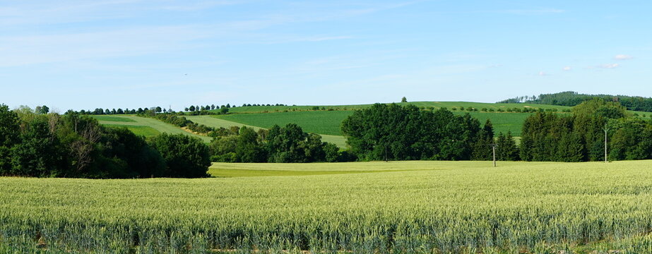The countryside of the Czech Republic in the summer