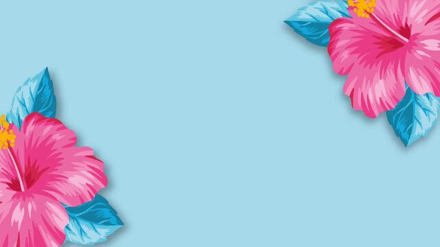 Beautiful Pink Hibiscus Flowers on Light Blue Background Hawaiian Tropical Frame Loop.