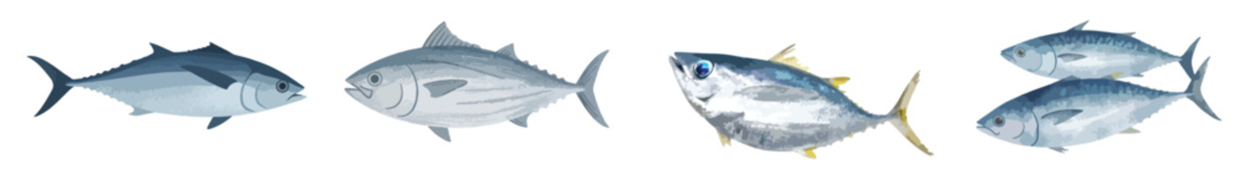 Fresh Tuna and Mackerel Fish Vector Set, Ocean Commercial Marine Seafood Collection Isolated on White Background