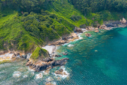 Costa Verde Spain - Aerial view of Forest Rolling into the Atlantic Ocean with green vegetation pouring on to wild beach coast surrounded by rocky cliffs