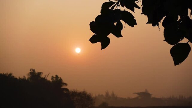 The sun rises on a mild winter morning. A dawn scene in Char Kalatali, Manpura, Bhola district.