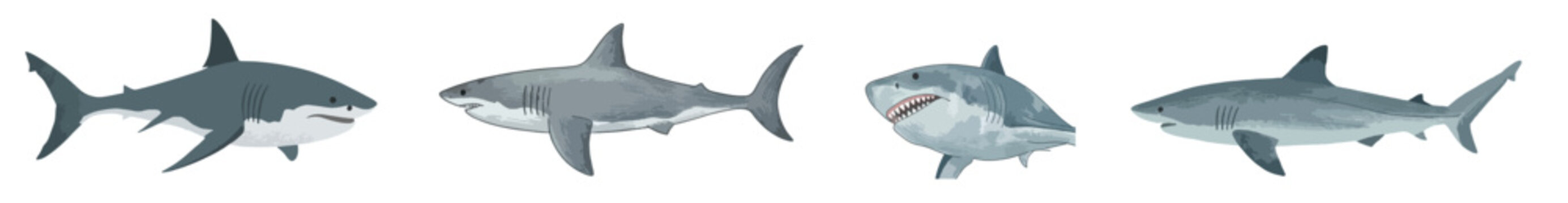 Great White Shark Vector Illustration Set, Marine Predator Ocean Fish Collection Isolated on White Background