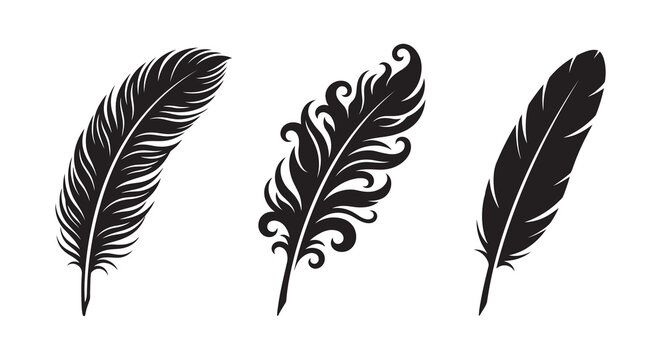 Three black feather silhouettes against a white background silhouette