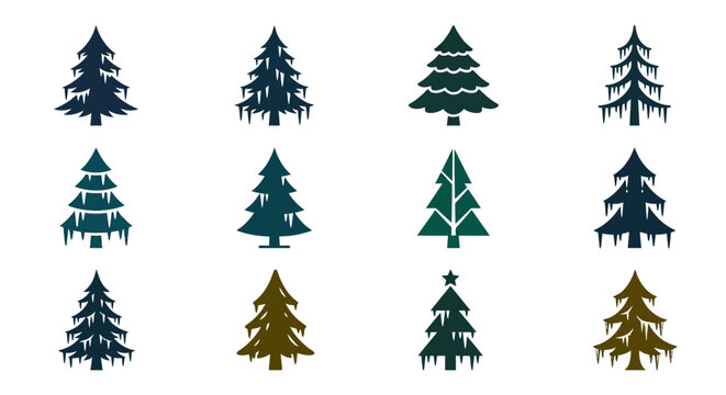 Set of twelve diverse coniferous evergreen fir tree icons for winter holiday seasonal design templates and festive forest nature projects pC (366)