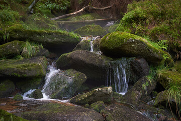 Mossy Forest Stream Cascade © Milan
