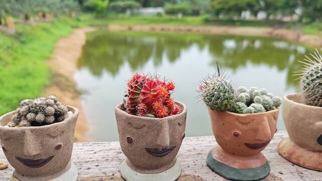 Cute Face Clay Pots with Cactus by a Tranquil Pond.