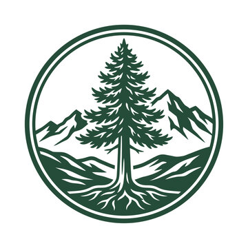 Detailed Evergreen Tree with Mountain Roots Illustration.