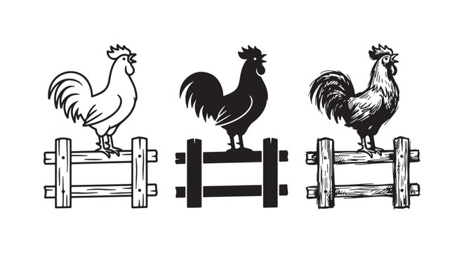 Set of three rooster illustrations standing on a wooden fence, presented in clean outline, solid black, and textured hand-drawn sketch styles