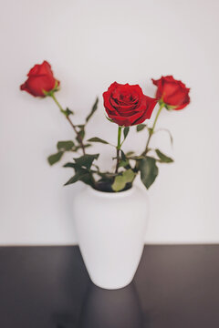 Beautiful red roses in an elegant white vase bring warmth to a simple setting