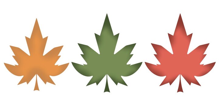 Green Red and Yellow Maple Leaves Illustration Set Isolated on White Background
