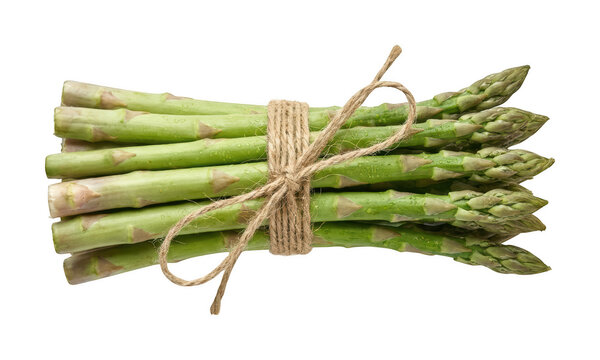 Fresh green asparagus png organic asparagus bundle png natural asparagus spears cutout healthy raw isolated transparent background image