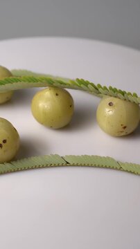 Fresh Indian Amla (Indian Gooseberry) Rich in Vitamin C, Ayurvedic Superfruit, Organic Herbal Ingredient, Natural Antioxidant, Healthy Nutrition, and Wellness