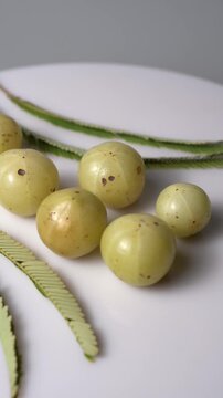 Fresh Indian Amla (Indian Gooseberry) Rich in Vitamin C, Ayurvedic Superfruit, Organic Herbal Ingredient, Natural Antioxidant, Healthy Nutrition, and Wellness