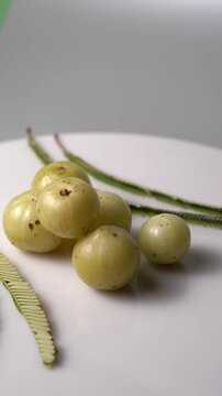 Fresh Indian Amla (Indian Gooseberry) Rich in Vitamin C, Ayurvedic Superfruit, Organic Herbal Ingredient, Natural Antioxidant, Healthy Nutrition, and Wellness