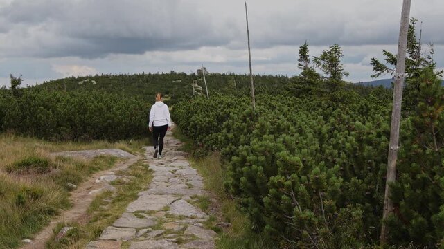 Back view of a woman hiking a stone trail towards Maiden Stones and Silesian Stones ridge in Krkonose, Czech Republic